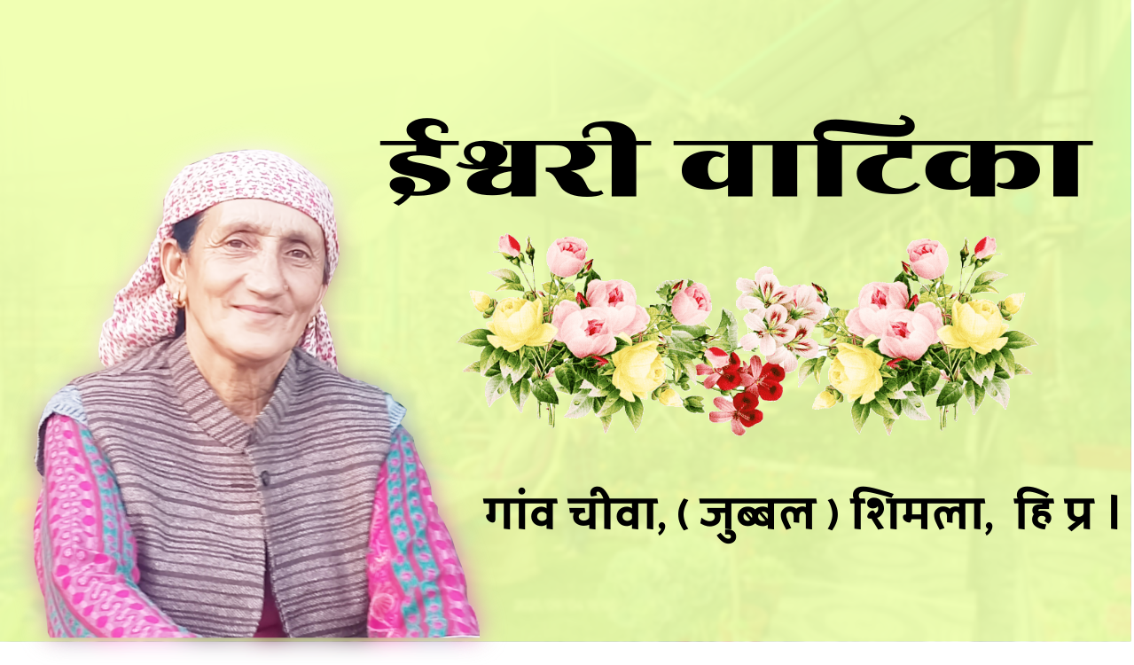 Read more about the article ईश्वरी वाटिका, फूल और फल – ईश्वरी छाजटा, जुब्बल,  शिमला Ishwari Vatika Jubbal Shimla H.P