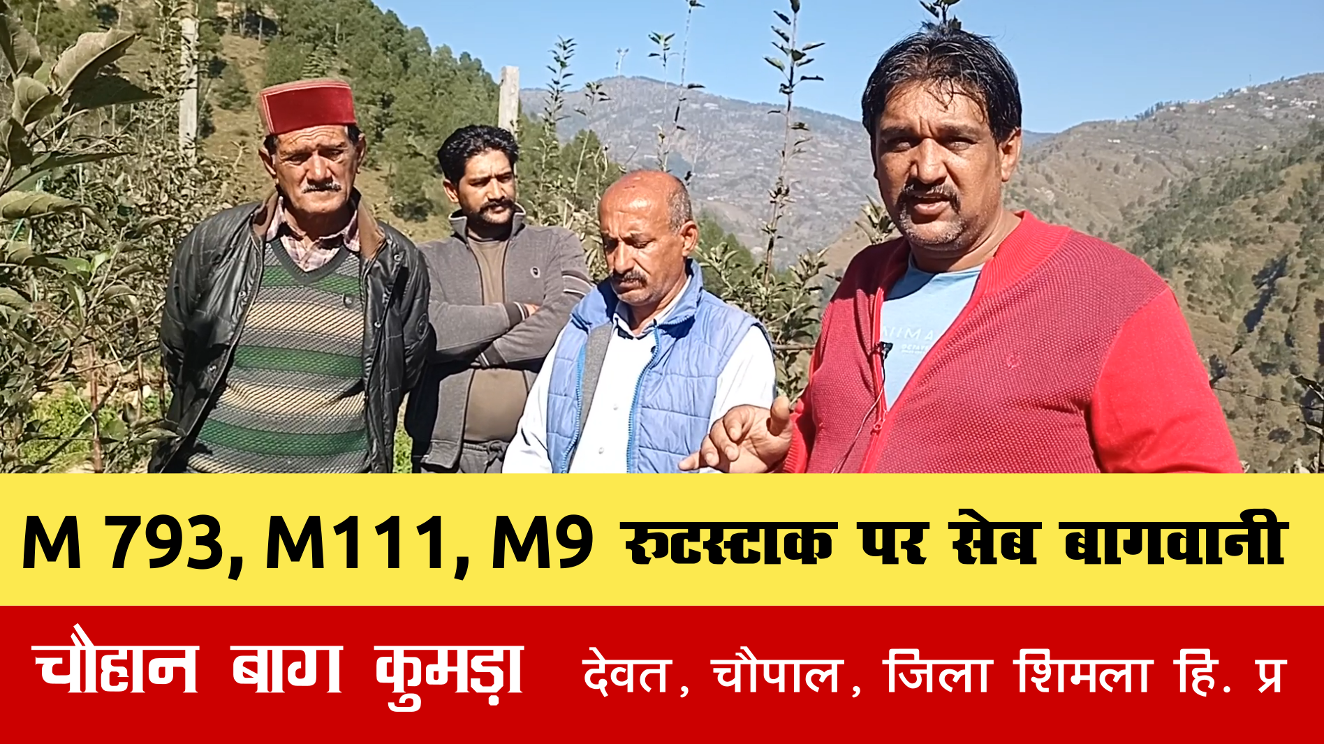 Read more about the article M9, M793 रुटस्टाक पर  बगीचा , पुराने बगीचे के साथ | Clonal Rootstock M9, M793,  block | Pomy Chauhan