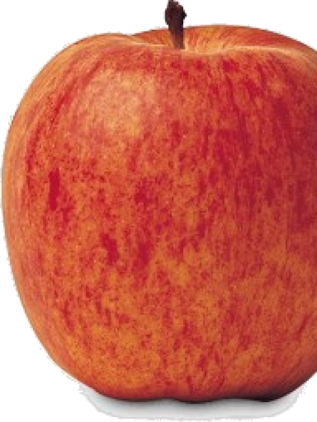 Read more about the article आर्गेनिक सेब पैदा करने का तरीका
